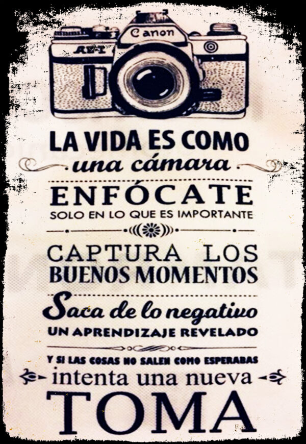 La Vida es como una Cámara